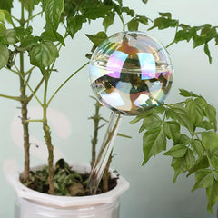 2pcs Rainbow Gradient Glass Plant Watering Globes Self Watering System