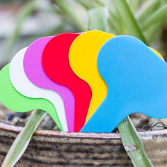 10pcs Flower Landing Cards Mini T Tags Small T Tags S