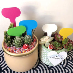 10pcs Flower Landing Cards Mini T Tags Small T Tags S