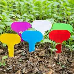 10pcs Flower Landing Cards Mini T Tags Small T Tags S