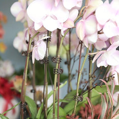 50pcs Flower Clip Orchid Iron Wire Support Rod Climbing Vine Plant Fixed Clip