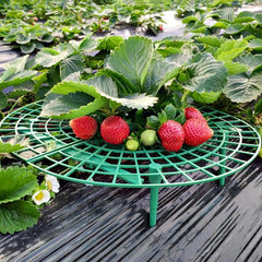 Outdoor Strawberry Planting Tray Holder Gardening Support Rack