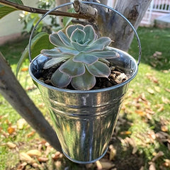 3pc Galvanized Metal Buckets - Wedding Decor, Party Centerpieces, Garden