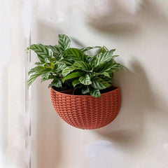 Rattan Hanging Flower Pots for Balcony, No Hole