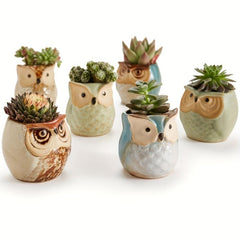 6pcs Owl Pot Ceramic Succulent Plant Cactus Flower Container Planter