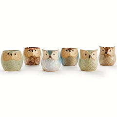 6pcs Owl Pot Ceramic Succulent Plant Cactus Flower Container Planter