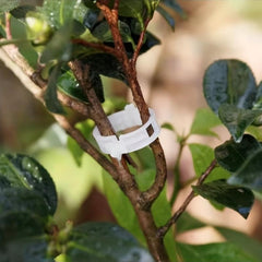 Plastic Plant Clips Supports for Vegetable Tomato Gardening