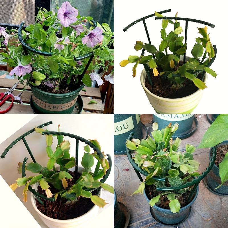 Plant Orchid Bracket Flower Support Stakes for Indoor & Outdoor Plants