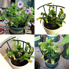 Plant Orchid Bracket Flower Support Stakes for Indoor & Outdoor Plants