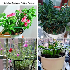 Plant Orchid Bracket Flower Support Stakes for Indoor & Outdoor Plants