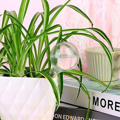 8pcs Plant Bulbs Watering Dispenser 2inch Size 80ml Automatic Plant Waterers