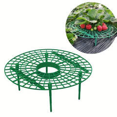 Strawberry Stand Patio Gardening Balcony Pot Picking Fruit Plant Climbing Garden