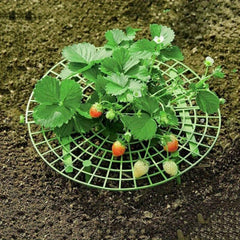 Strawberry Stand Patio Gardening Balcony Pot Picking Fruit Plant Climbing Garden