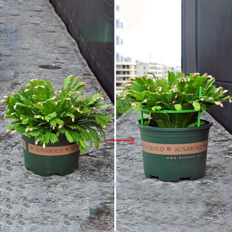Spliced Flower Holder Support Rod Leaf Guard Plant Potted Orchid H