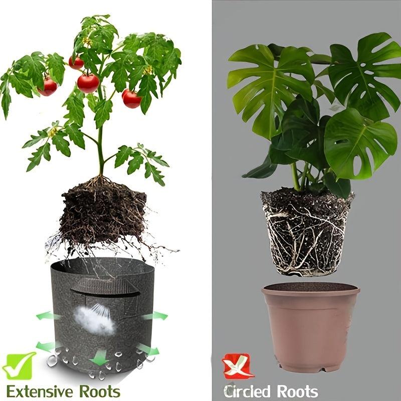 NonWoven Aeration Fabric Pots - Grow Your Own Fruits and Veggies