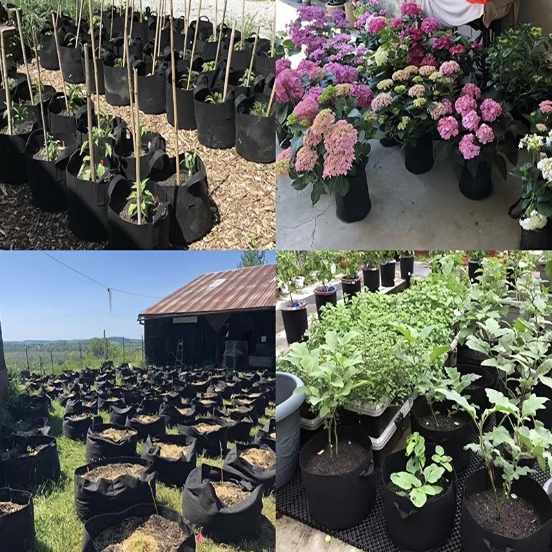 NonWoven Aeration Fabric Pots - Grow Your Own Fruits and Veggies