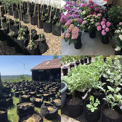 NonWoven Aeration Fabric Pots - Grow Your Own Fruits and Veggies