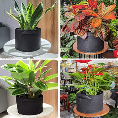 NonWoven Aeration Fabric Pots - Grow Your Own Fruits and Veggies