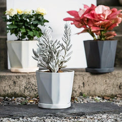 3pcs Geometric Succulent Planters Set Modern Flower Pots for Outdoor Decor