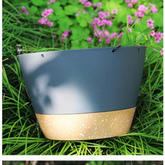 Hanging Orchid Flower Pot Green Carrot Ivy Household Hanging Pot