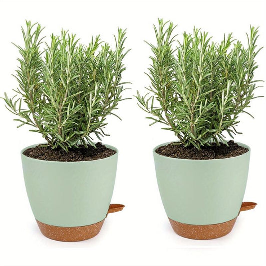 2 Self Watering Pots for Indoor Plants 20-32cm - Modern African Violet Pots