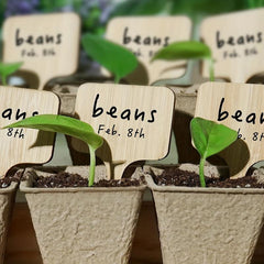 10pcs Bamboo Plant Labels Garden Plant Markers Outdoor Plant Markers