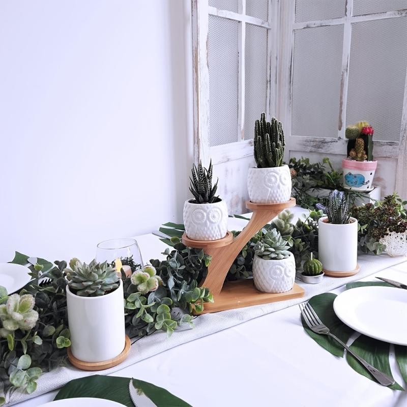 3 Piece Owl Succulent Pot Set Ceramic Flower Planter with Bamboo Stand