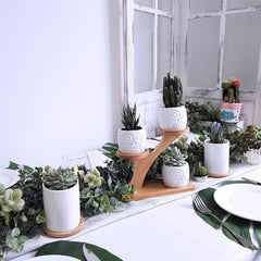 3 Piece Owl Succulent Pot Set Ceramic Flower Planter with Bamboo Stand