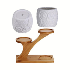 3 Piece Owl Succulent Pot Set Ceramic Flower Planter with Bamboo Stand