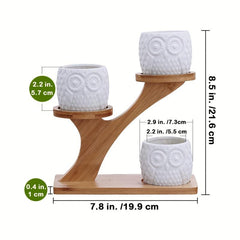3 Piece Owl Succulent Pot Set Ceramic Flower Planter with Bamboo Stand