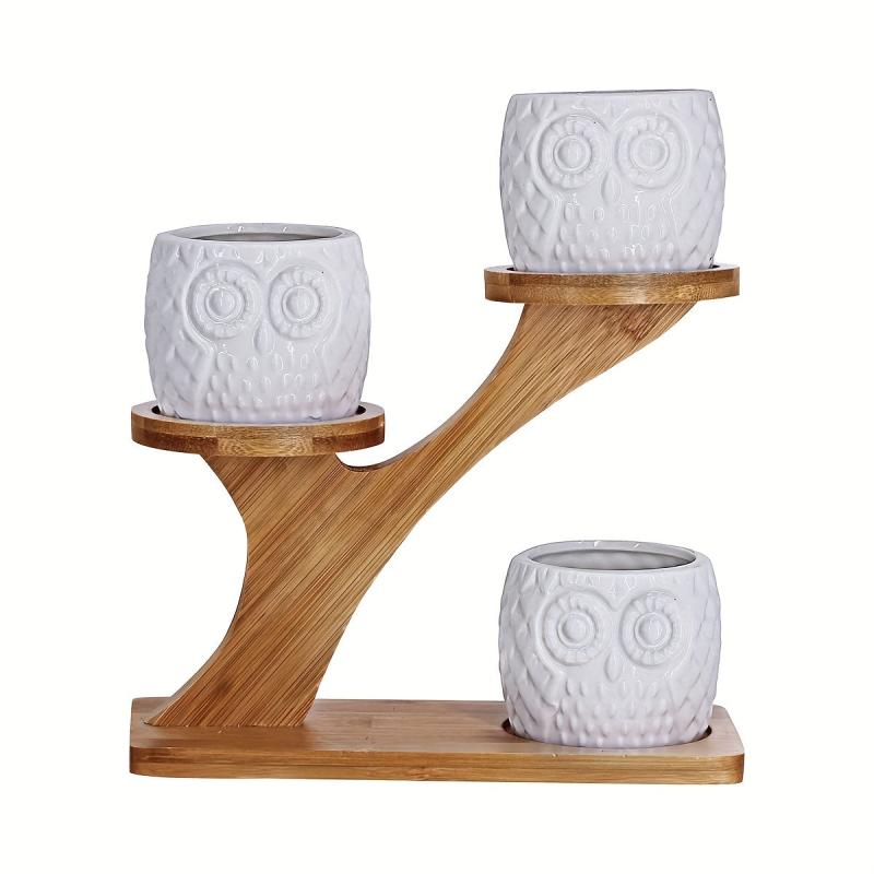 3 Piece Owl Succulent Pot Set Ceramic Flower Planter with Bamboo Stand