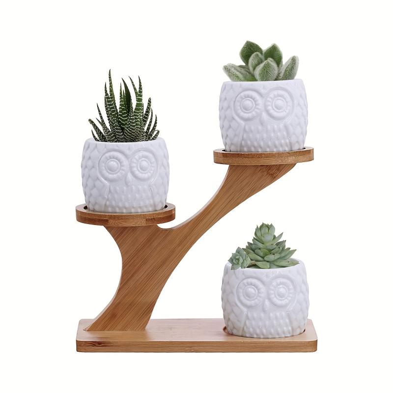 3 Piece Owl Succulent Pot Set Ceramic Flower Planter with Bamboo Stand