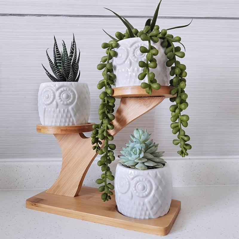 3 Piece Owl Succulent Pot Set Ceramic Flower Planter with Bamboo Stand