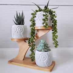 3 Piece Owl Succulent Pot Set Ceramic Flower Planter with Bamboo Stand