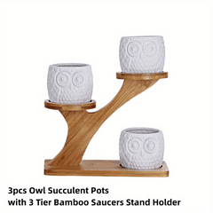 3 Piece Owl Succulent Pot Set Ceramic Flower Planter with Bamboo Stand