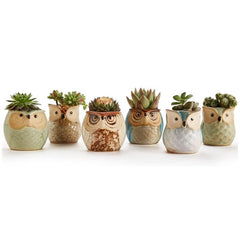 6pcs Owl Pot Ceramic Succulent Cactus Flower Pot Set with Drainage Hole