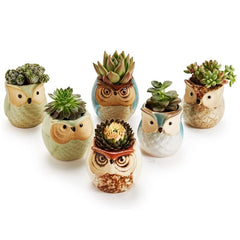 6pcs Owl Pot Ceramic Succulent Cactus Flower Pot Set with Drainage Hole