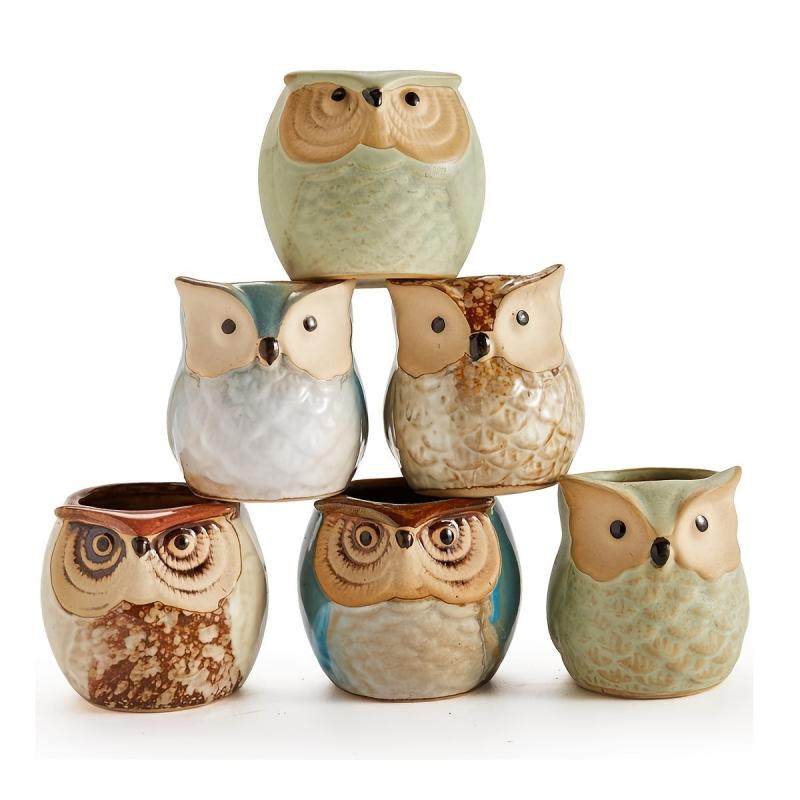 6pcs Owl Pot Ceramic Succulent Cactus Flower Pot Set with Drainage Hole