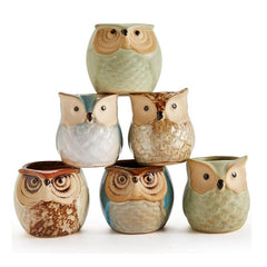 6pcs Owl Pot Ceramic Succulent Cactus Flower Pot Set with Drainage Hole