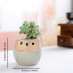 6pcs Owl Pot Ceramic Succulent Cactus Flower Pot Set with Drainage Hole
