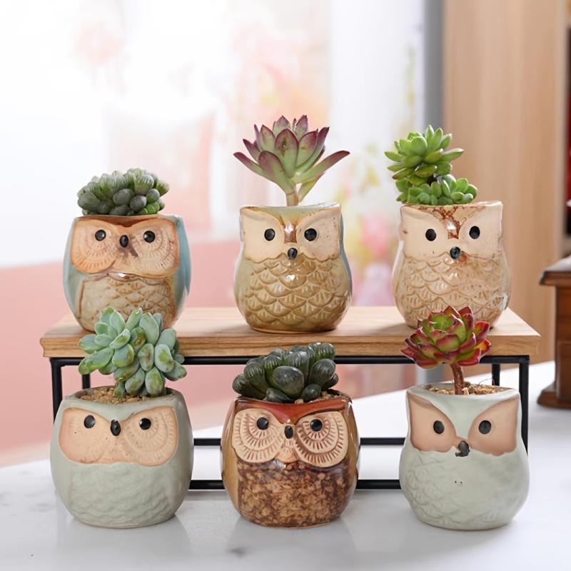 6pcs Owl Pot Ceramic Succulent Cactus Flower Pot Set with Drainage Hole
