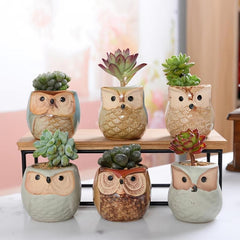 6pcs Owl Pot Ceramic Succulent Cactus Flower Pot Set with Drainage Hole