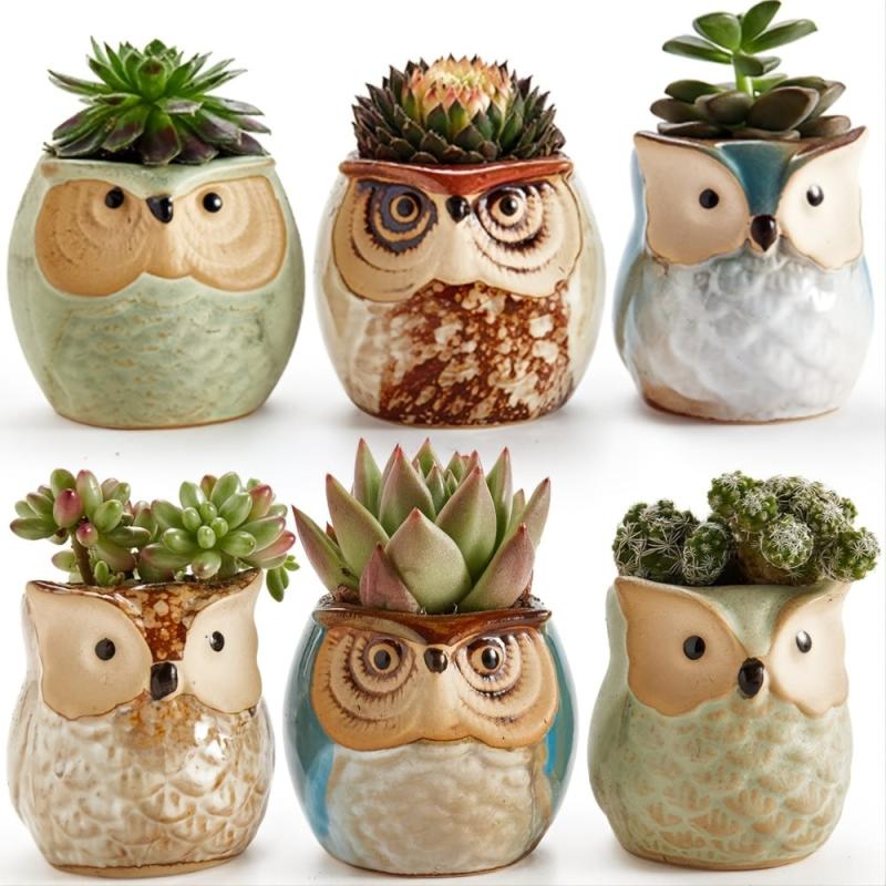 6pcs Owl Pot Ceramic Succulent Cactus Flower Pot Set with Drainage Hole