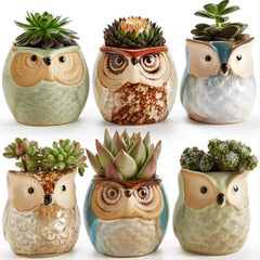 6pcs Owl Pot Ceramic Succulent Cactus Flower Pot Set with Drainage Hole