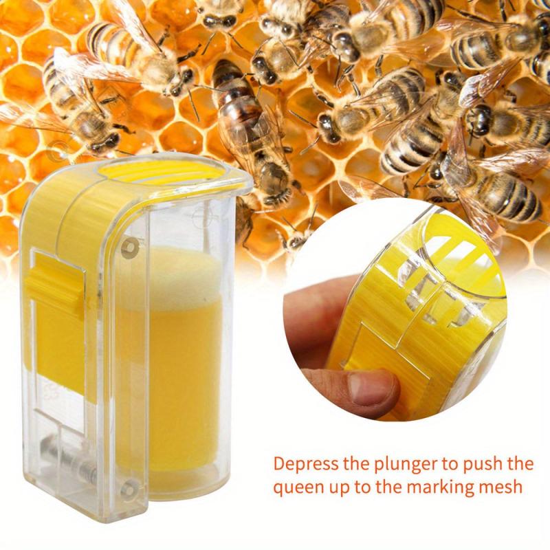 Beekeeping Queen Marking Bottle - Essential Beekeeping Tool
