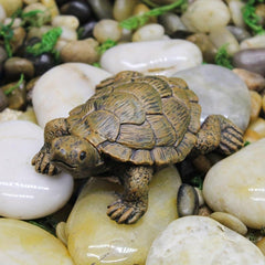 Cute Turtle Figurine for Garden Balcony Decoration