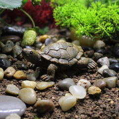 Cute Turtle Figurine for Garden Balcony Decoration