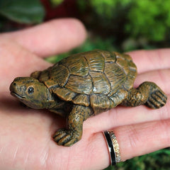 Cute Turtle Figurine for Garden Balcony Decoration