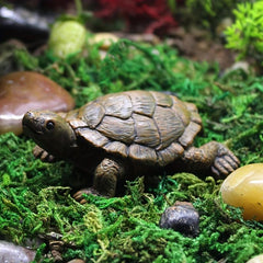 Cute Turtle Figurine for Garden Balcony Decoration