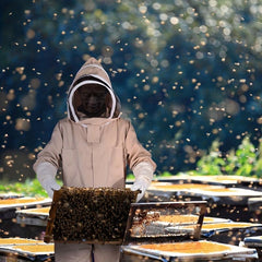 Beekeeping Suit Full Body Protection with Fencing Veil